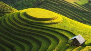 Núi rừng Tây Bắc trong hành trình khám phá