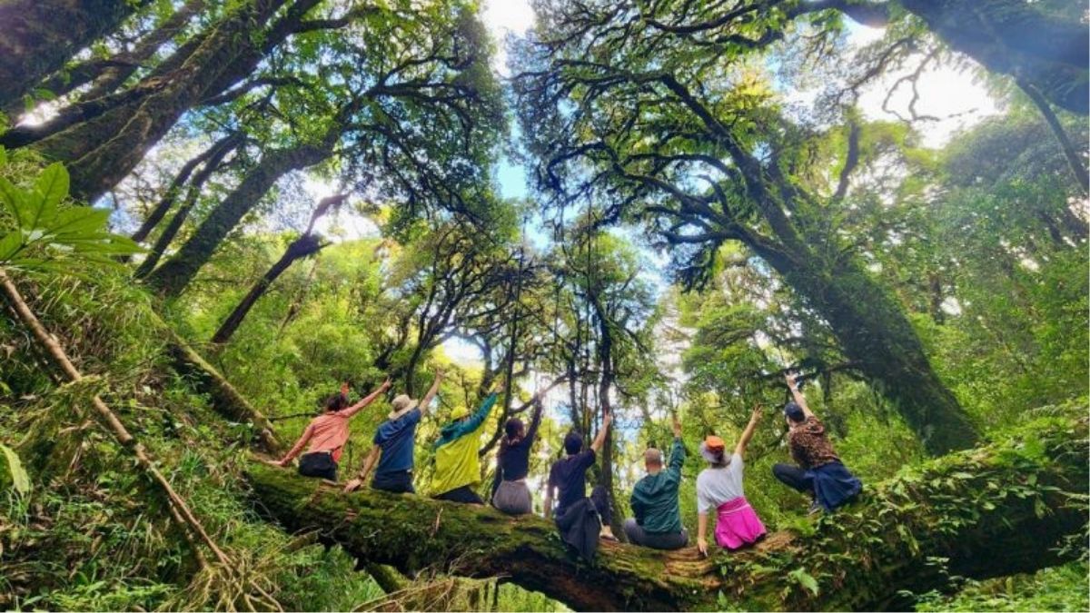 Người trekking trên hành trình giữa núi rừng Việt Nam