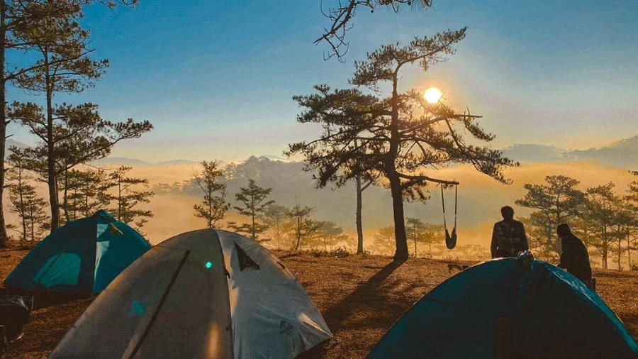 Kinh Nghiệm Cắm Trại Trên Đồi Đà Lạt An Toàn Và Chi Tiết Nhất 2 kinh nghiem cam trai tren doi da lat thuc te nhat