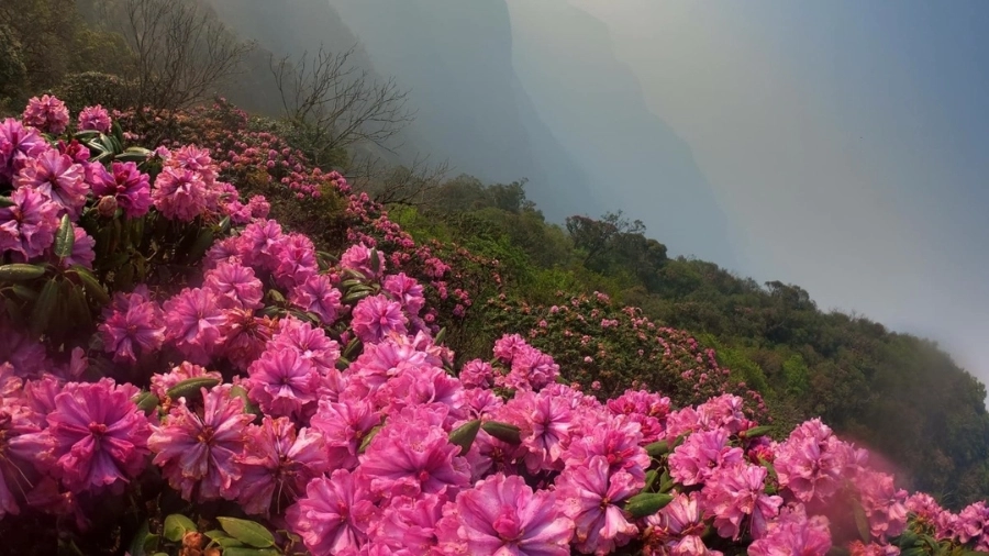 Trekking đỉnh Putaleng mấy ngày là phù hợp nhất