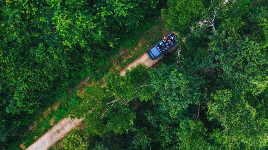 Các cung trekking rừng Nam Cát Tiên