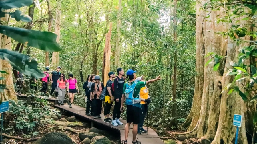Có nên thuê hướng dẫn viên trekking rừng Nam Cát Tiên không