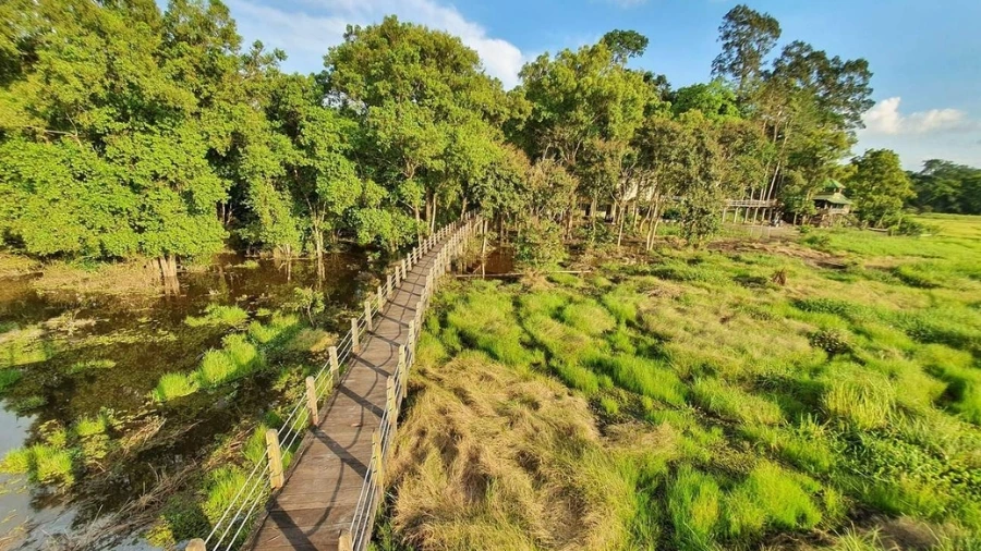 Trekking rừng Nam Cát Tiên mùa nào đẹp nhất